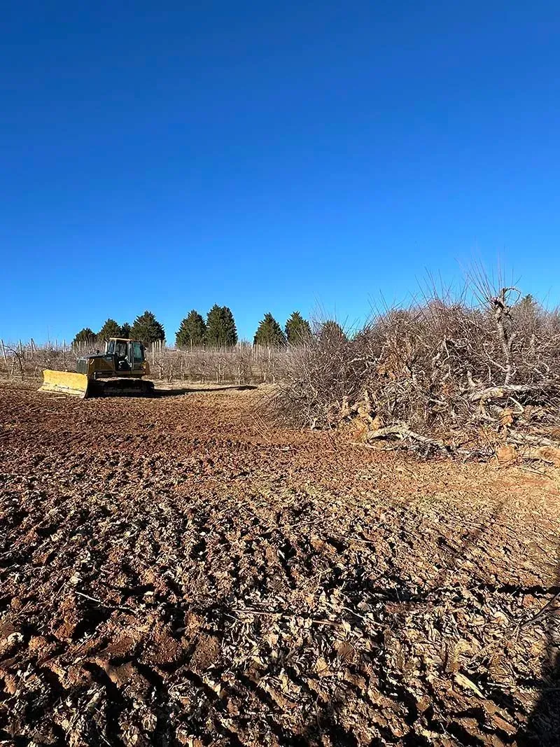 A bulldozer is plowing a dirt field with trees in the background.