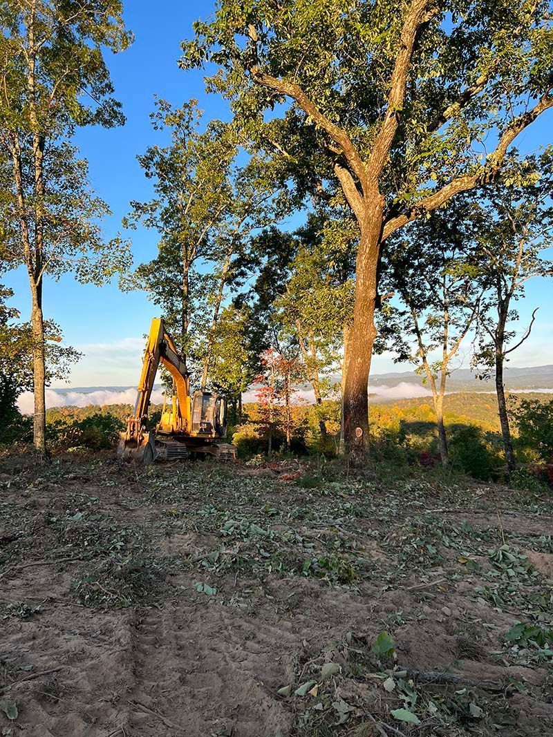 A yellow excavator is working in a field with trees in the background.