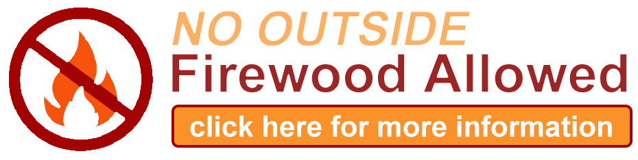 No Outside Firewood Allowed Graphic