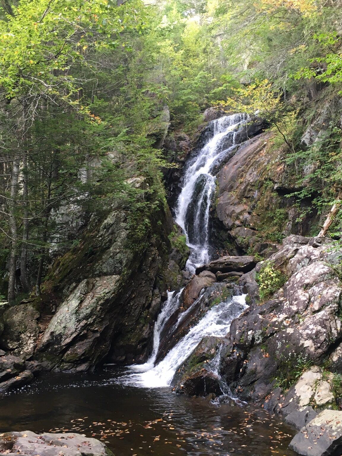 A waterfall is surrounded by trees and rocks in the middle of a forest.