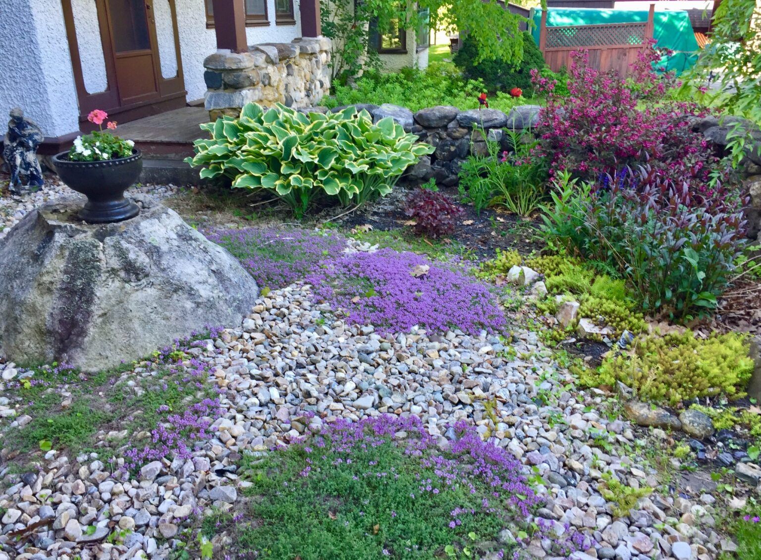 A garden with purple flowers and rocks in front of a house.
