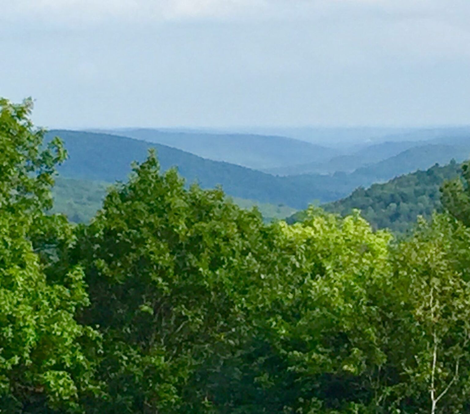 A view of a valley with trees and mountains in the background