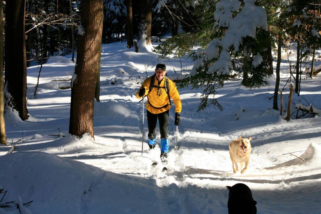 A man skiing with a dog in the snow in the forest