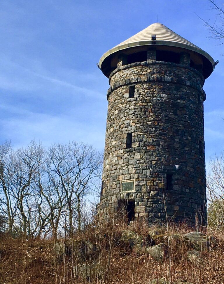 A stone tower is sitting on top of a hill surrounded by trees.