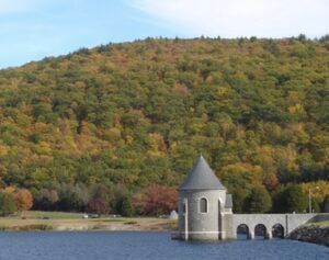There is a tower in the middle of a lake surrounded by trees.