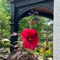 A red flower is hanging from a hanging basket on a porch.