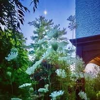 A garden with flowers and trees in front of a building with a twilight sky in the background.