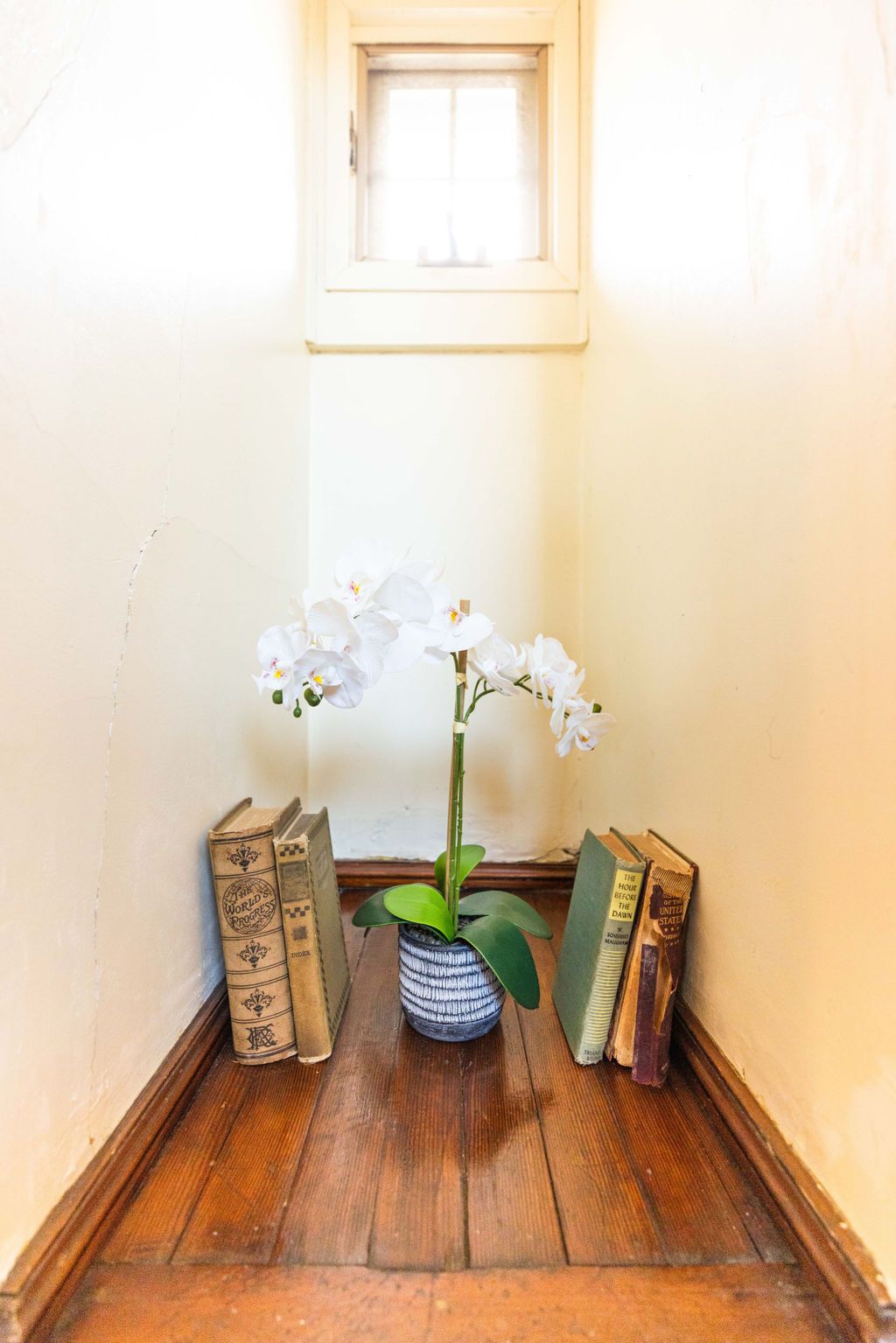 A potted plant is sitting on a wooden floor next to books.