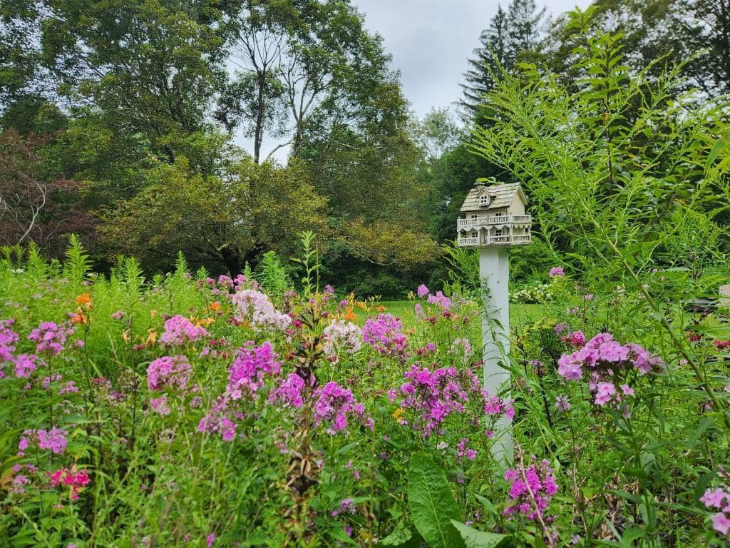 An orante birdhouse is sitting in the middle of an English Garden with purple flowers.