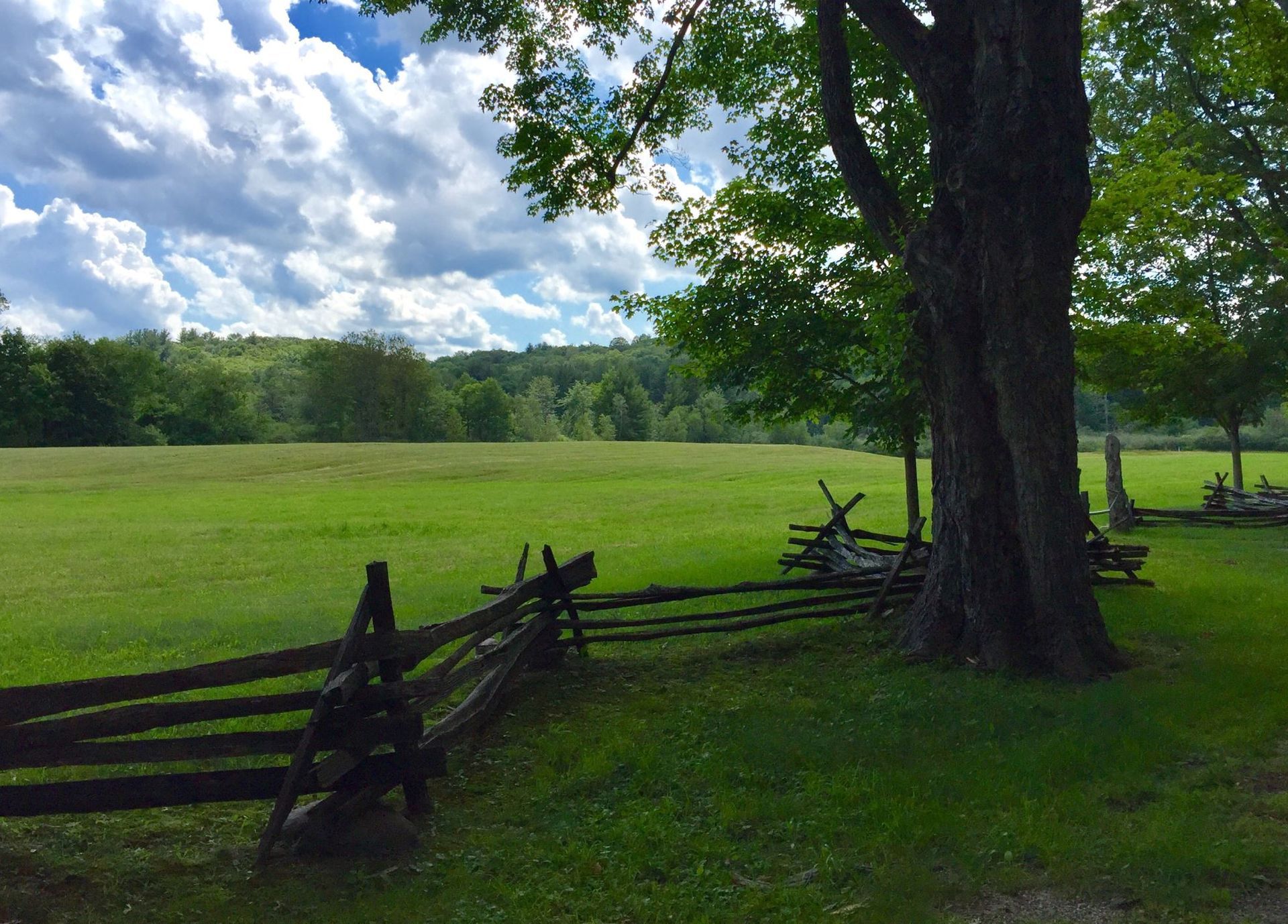 A wooden fence surrounds a grassy field with trees in the background