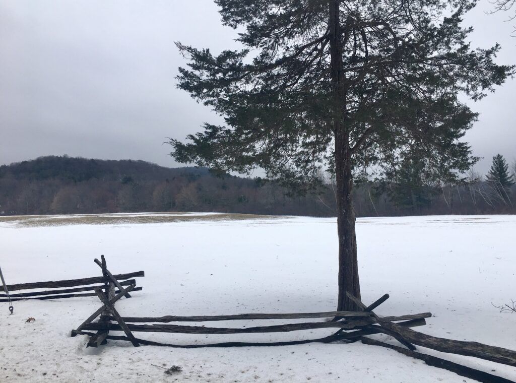 A snowy field with a tree and a fence in the foreground