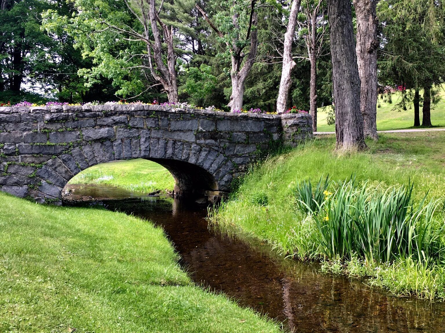 A stone bridge over a small stream in a park.