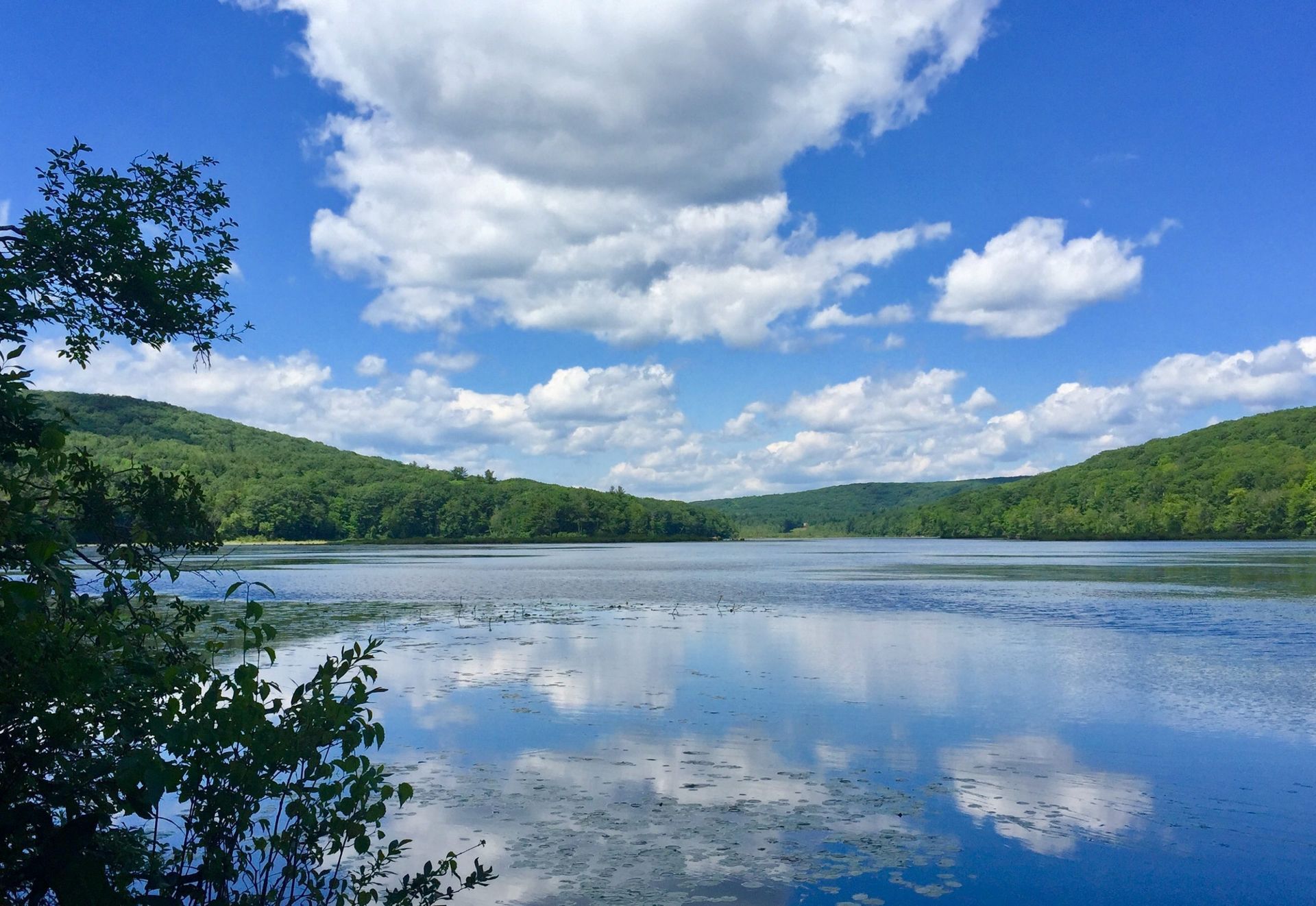 A lake with trees on the shore and a blue sky with clouds
