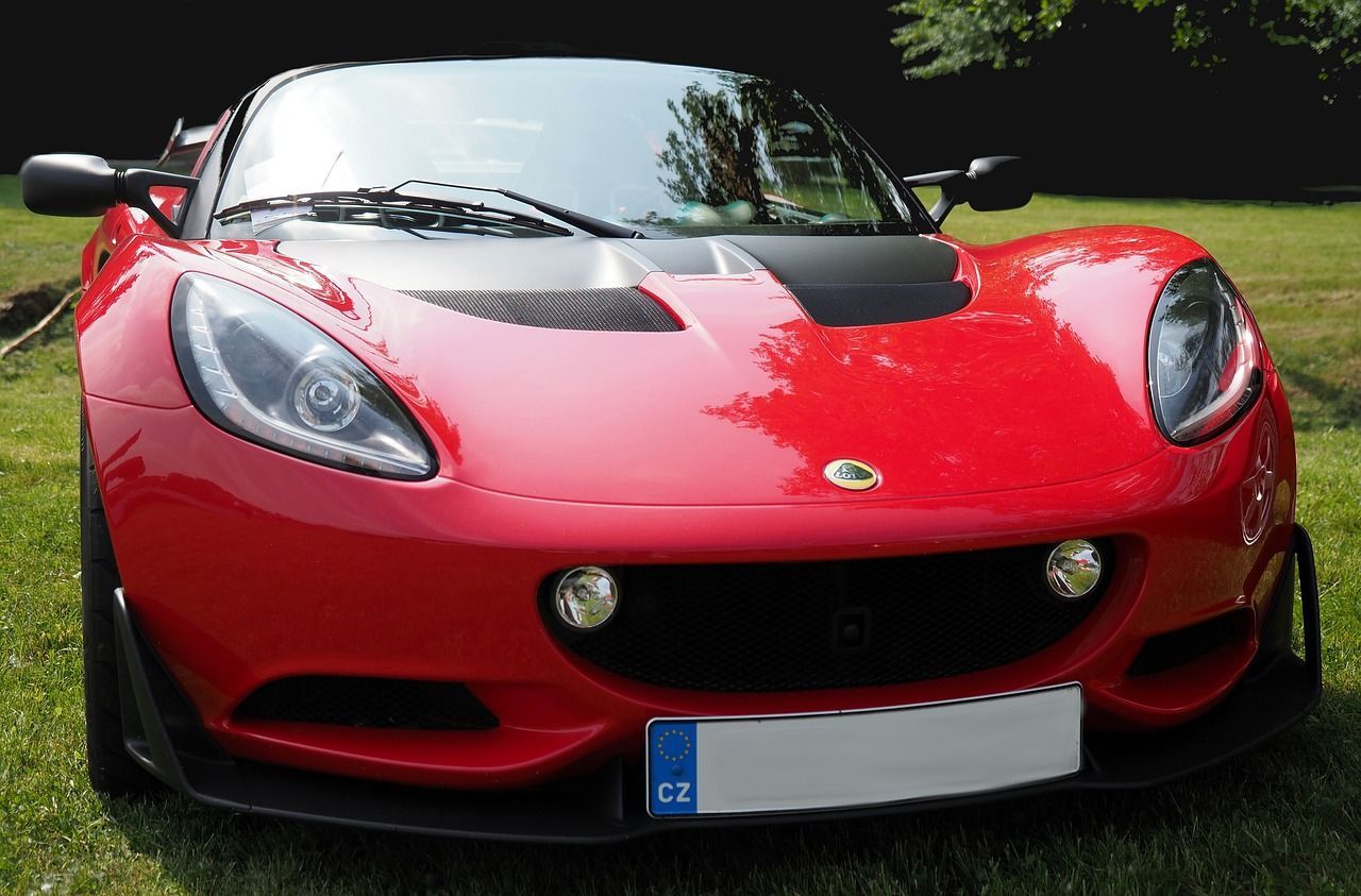 A red sports car with a license plate that says cz is parked in the grass.