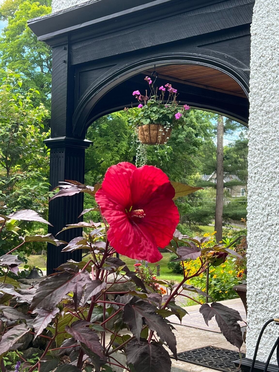 A large red flower is growing in front of a building.