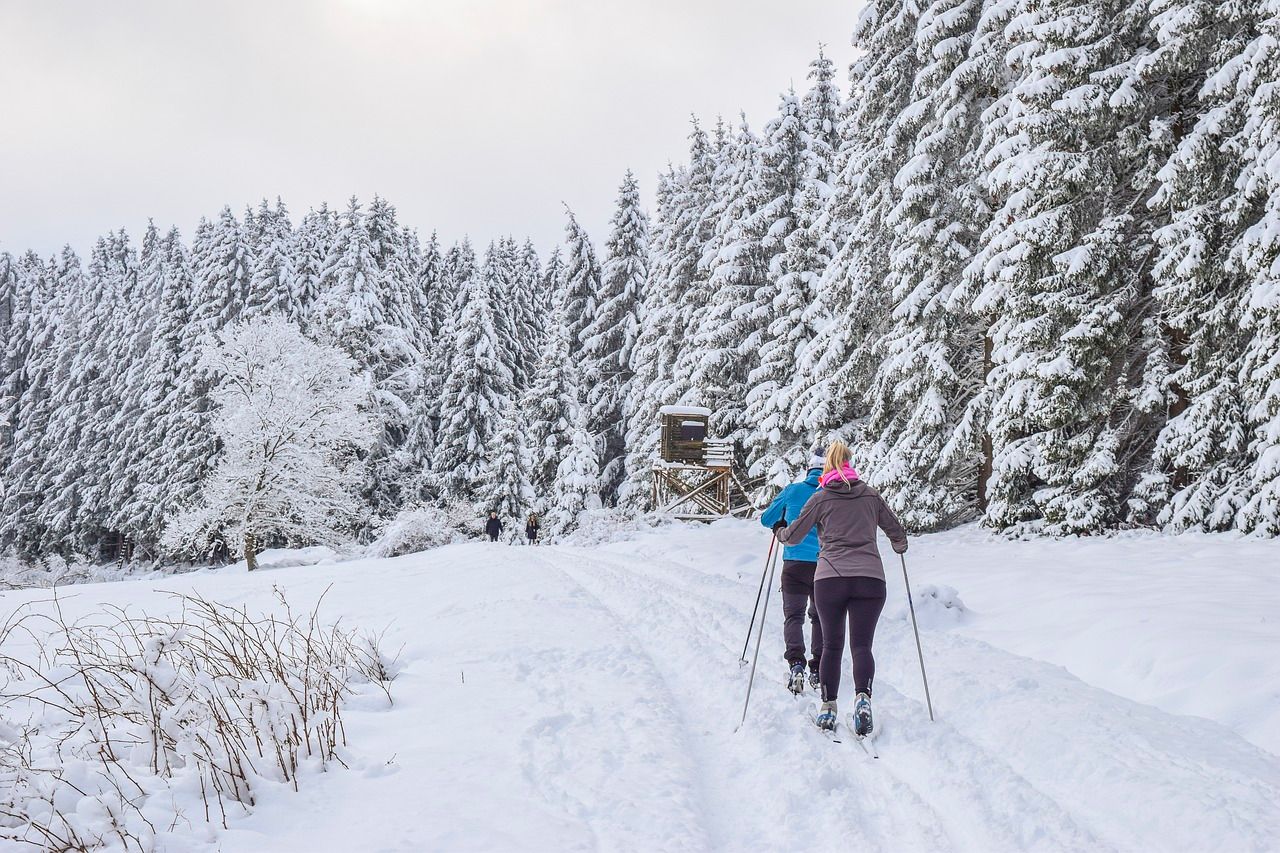 A couple of people are cross country skiing in the snow.