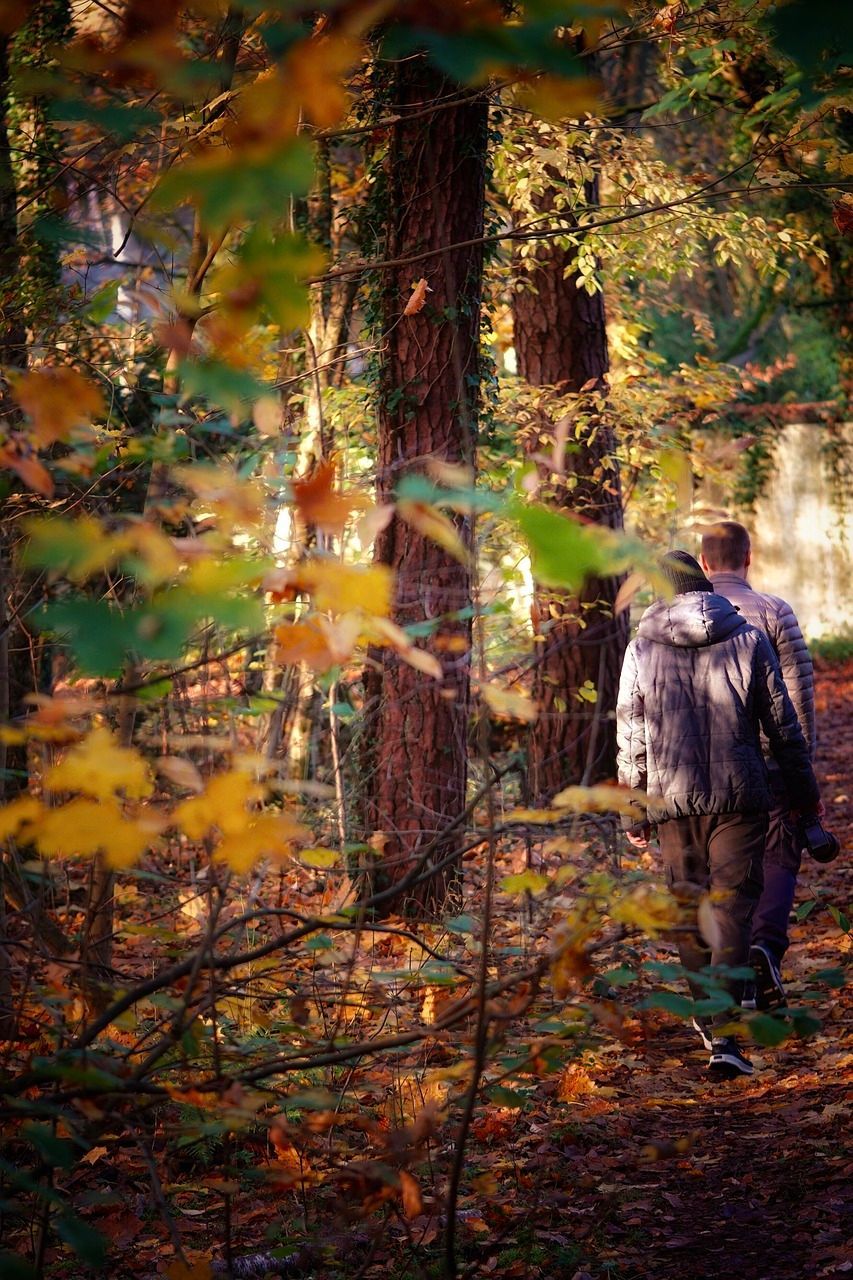 A couple of people are walking through a forest.