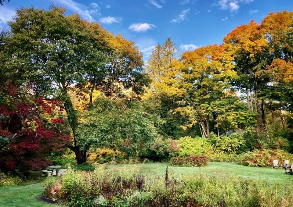 A park with trees that are changing colors in the fall
