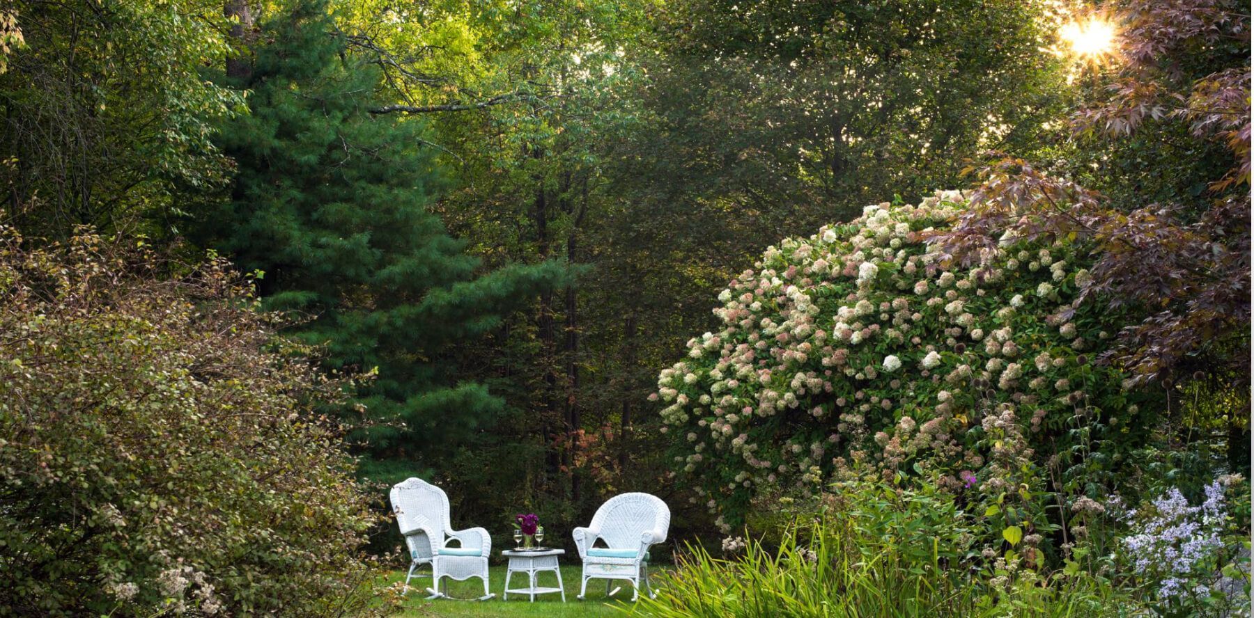 A couple of chairs and a table in a garden surrounded by trees.