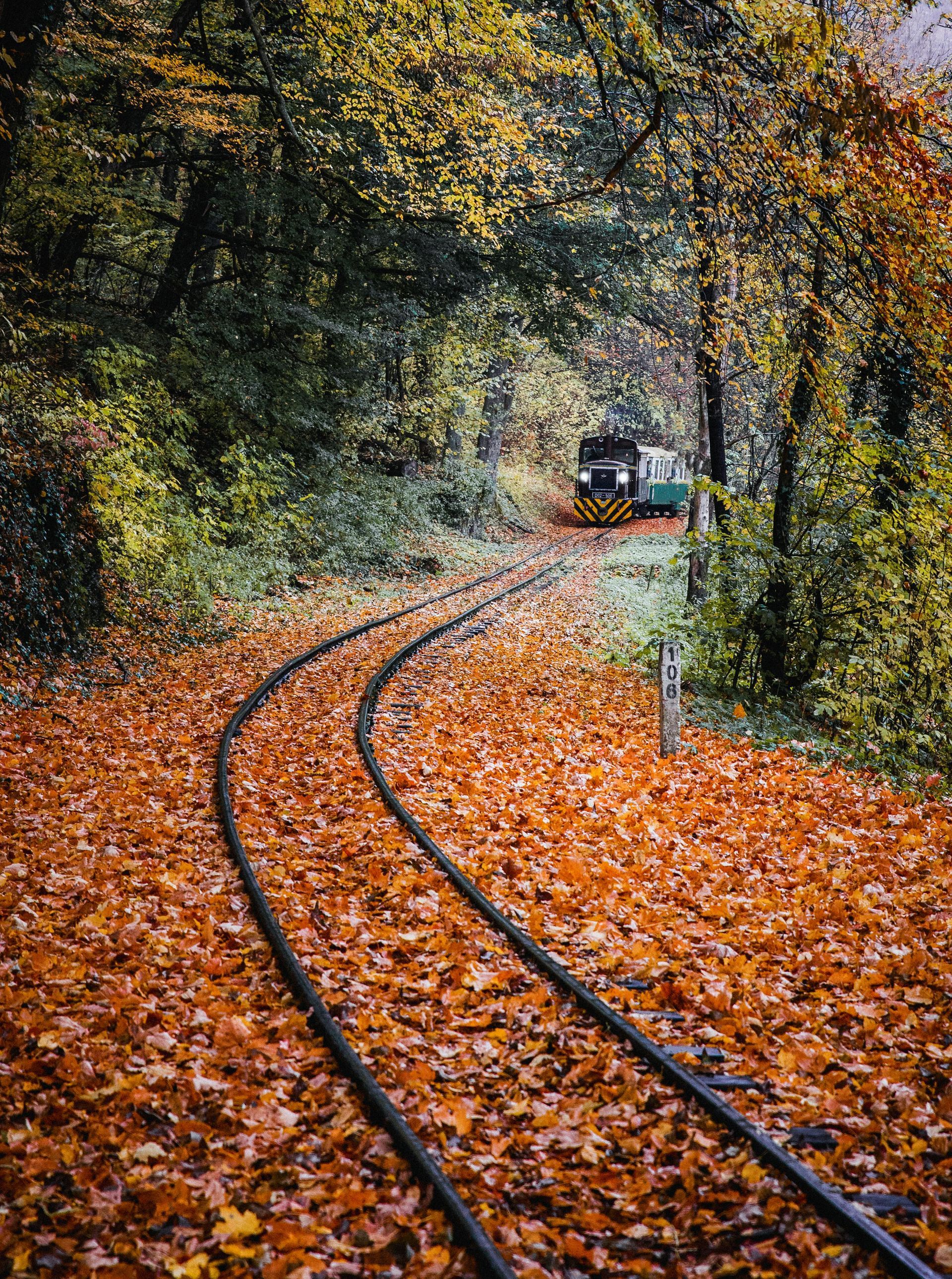 A train is going down train tracks covered in leaves.