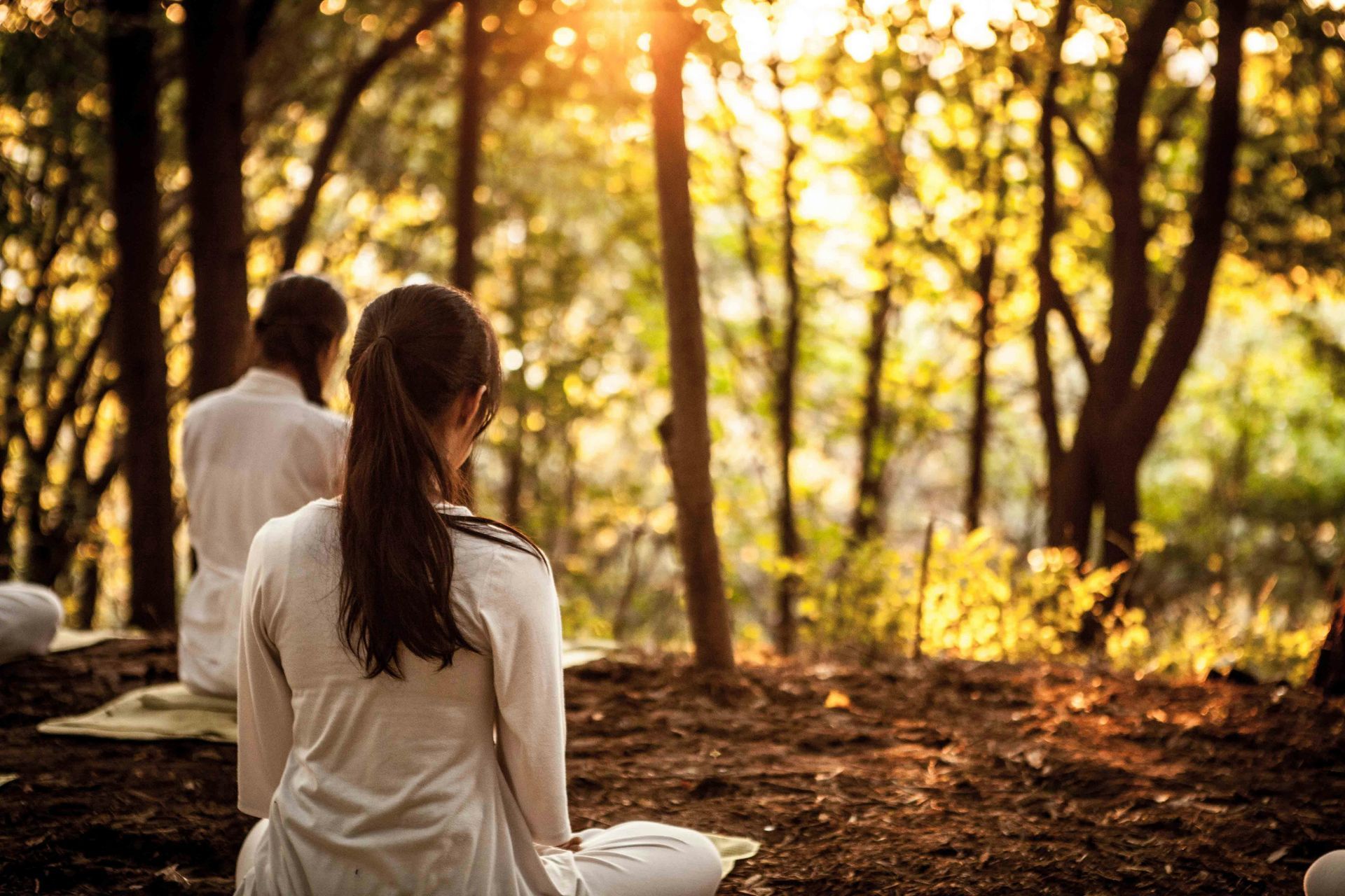 Two people in white clothing meditate in a sunlit forest, viewed from behind.