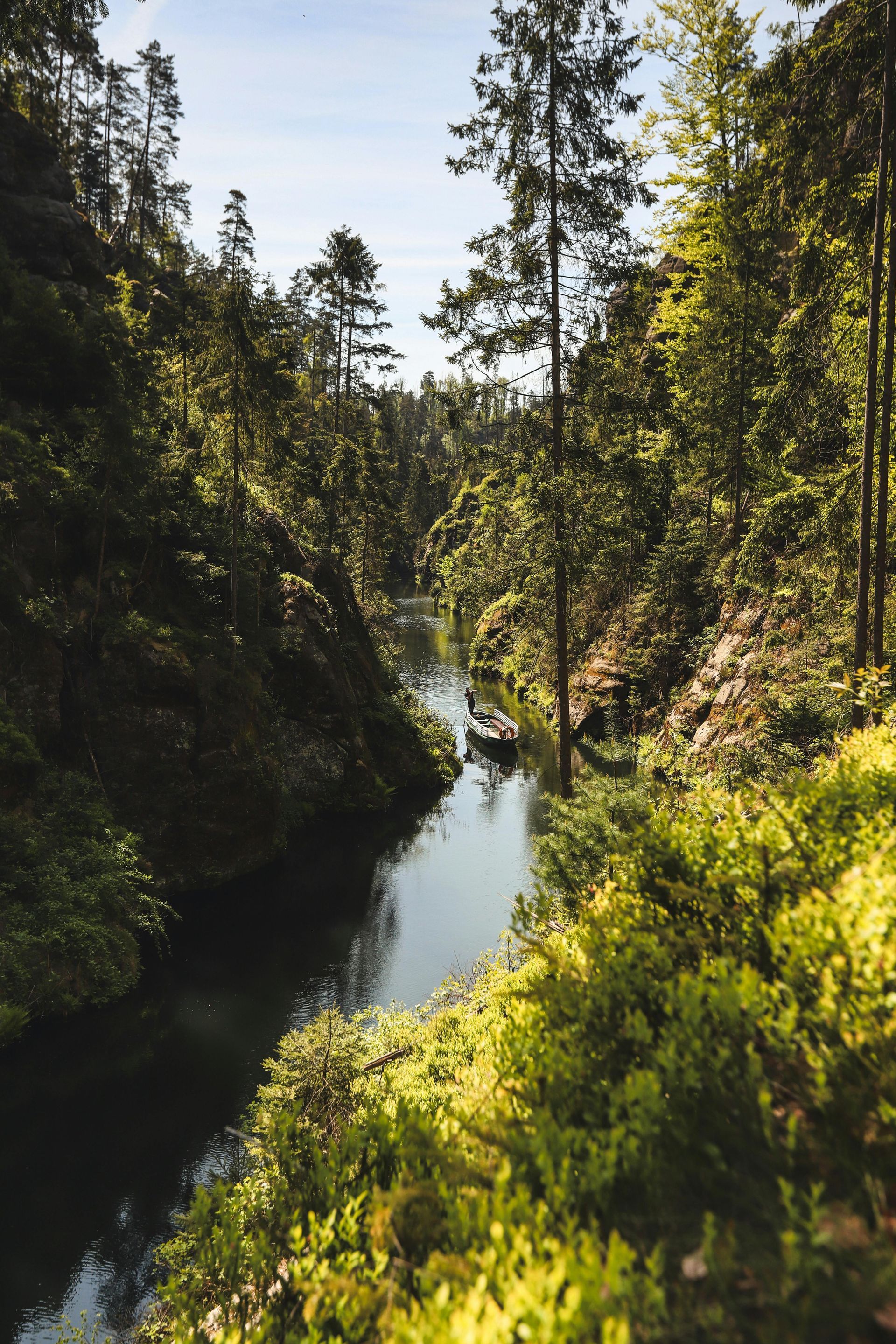A boat is floating on a river in the middle of a forest.