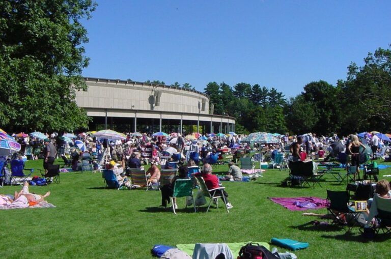 A large crowd of people are gathered in a park