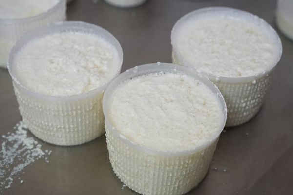 Ricotta in cestelli