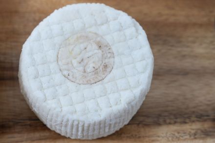 Formaggi freschi