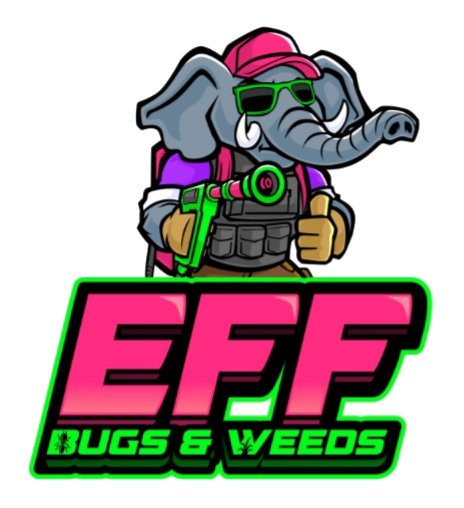 EFF Bugs Weeds