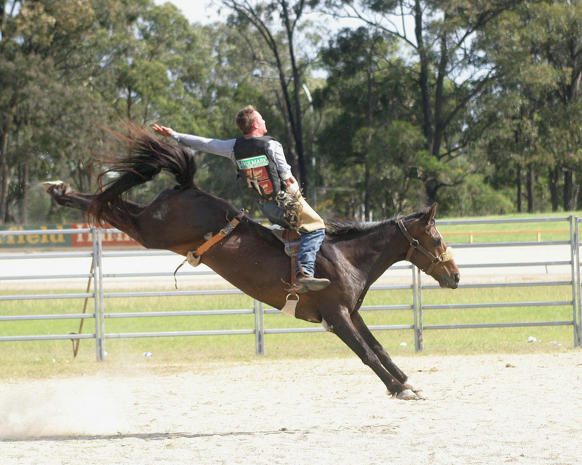 Cowboy on bucking horse, thrown in the air. Arena setting.