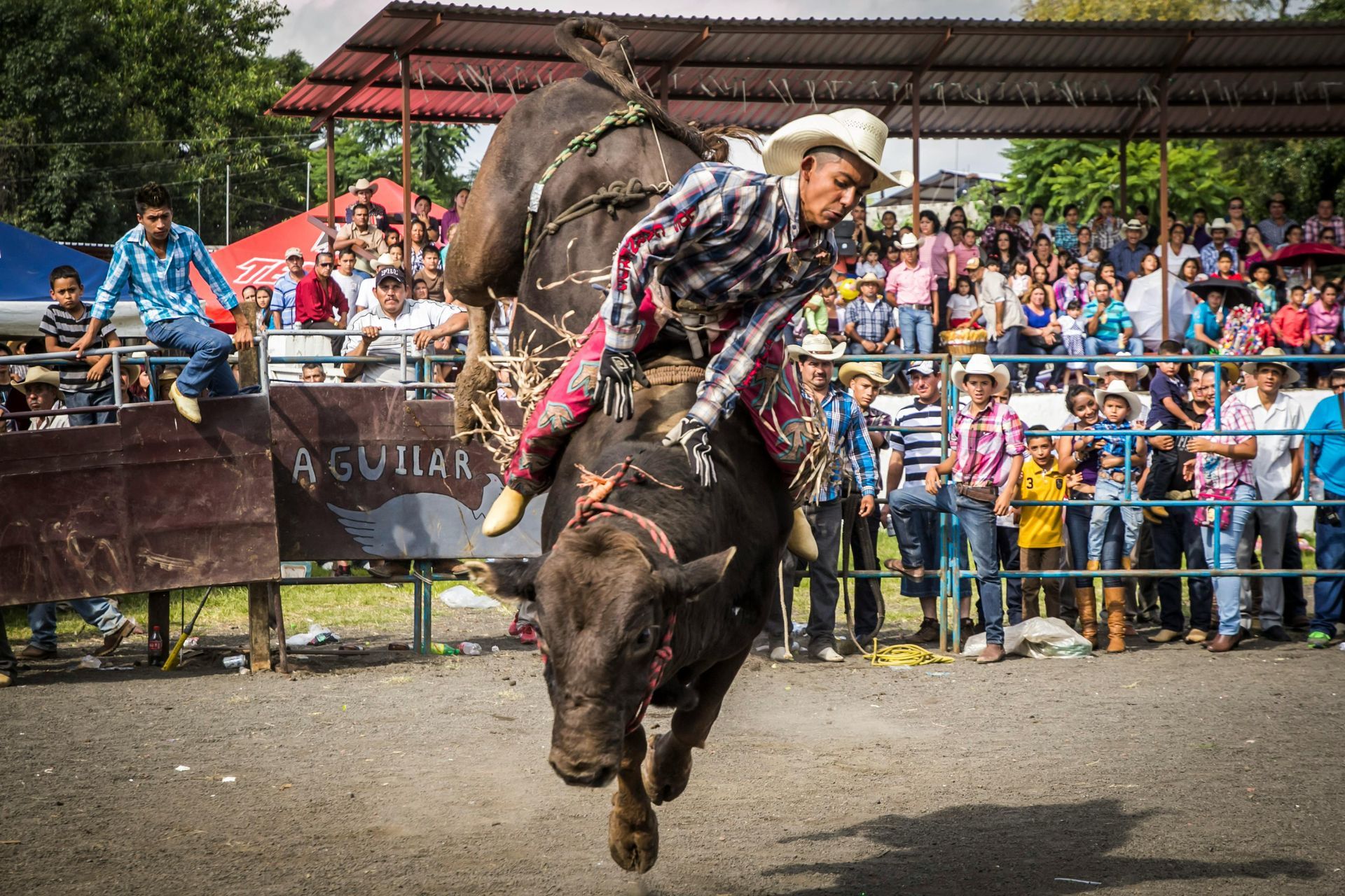 Bull rider in cowboy hat on bucking bull in an arena, spectators in the background.