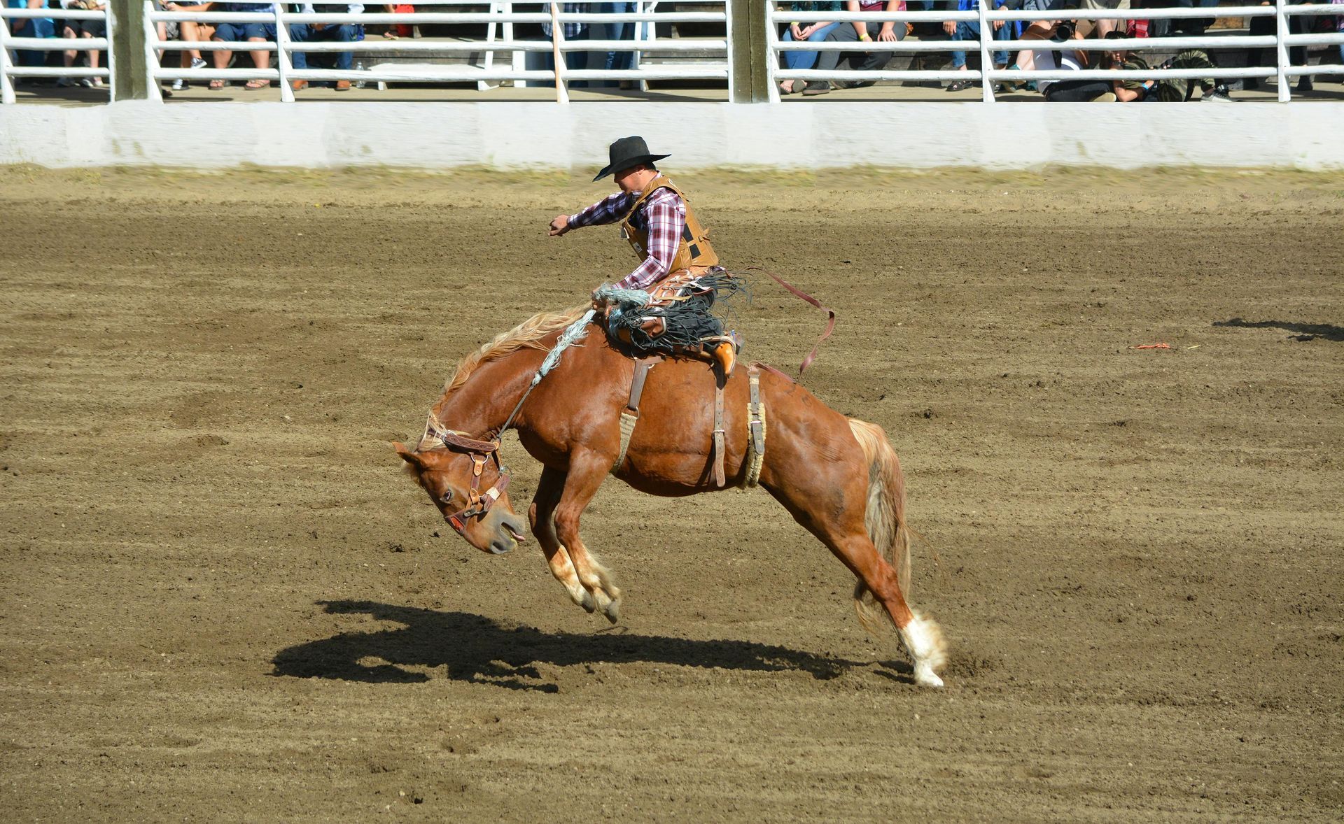 A young person riding a bucking horse in a rodeo.