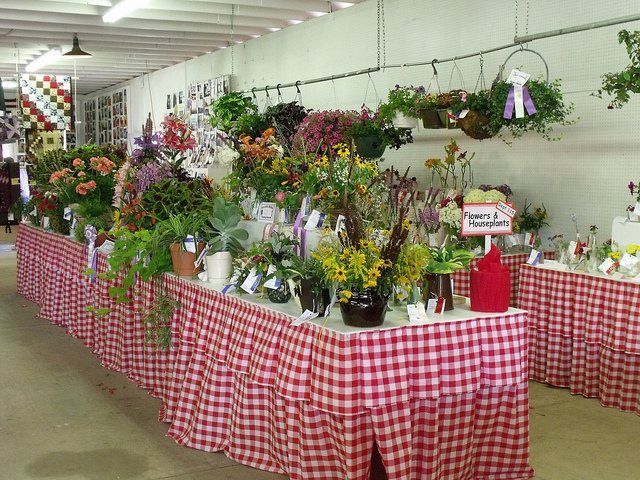 Display of flowers and plants at a fair, arranged on red and white checkered tablecloths. Ribbons and awards are visible.