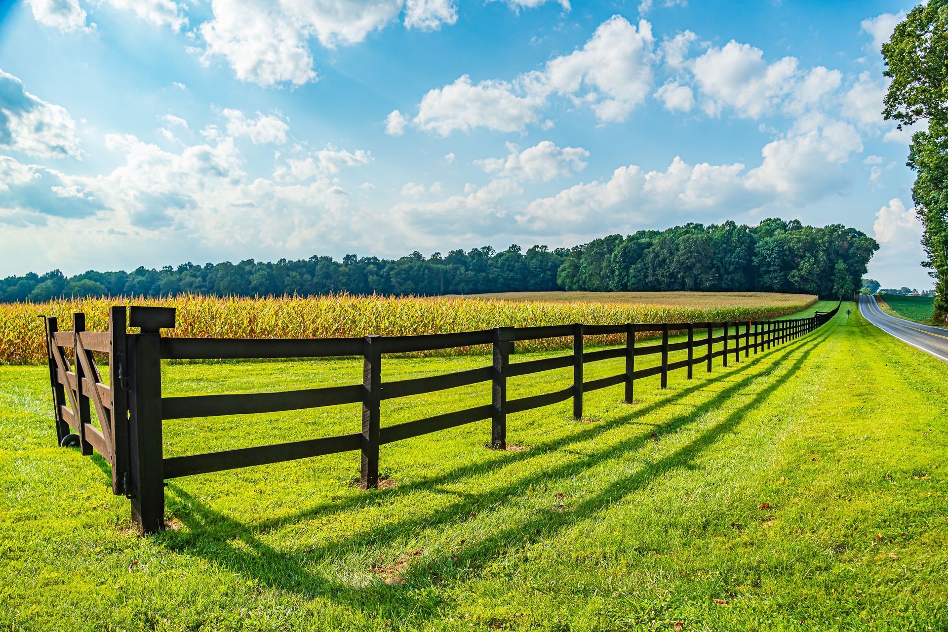 Long White Farm Fence