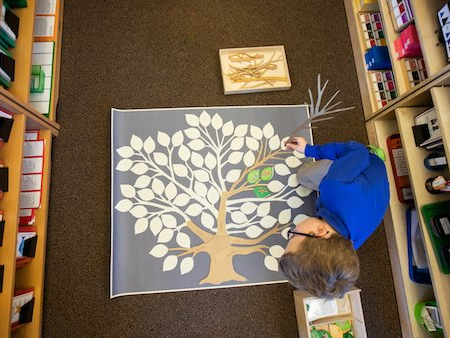 A child is drawing a tree on the floor in a library