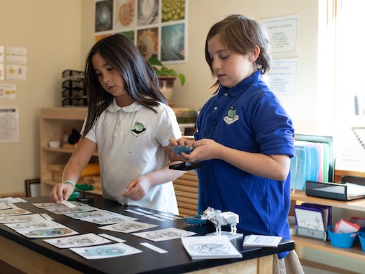 A boy and a girl are using montessori learning cards  on a table