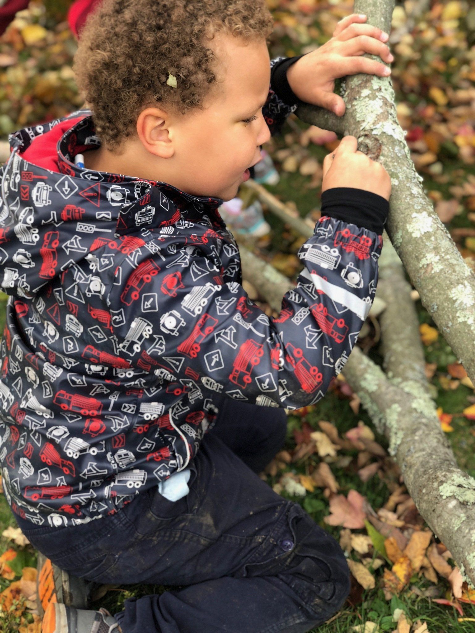 A young boy in a jacket  is playing with a tree branch.