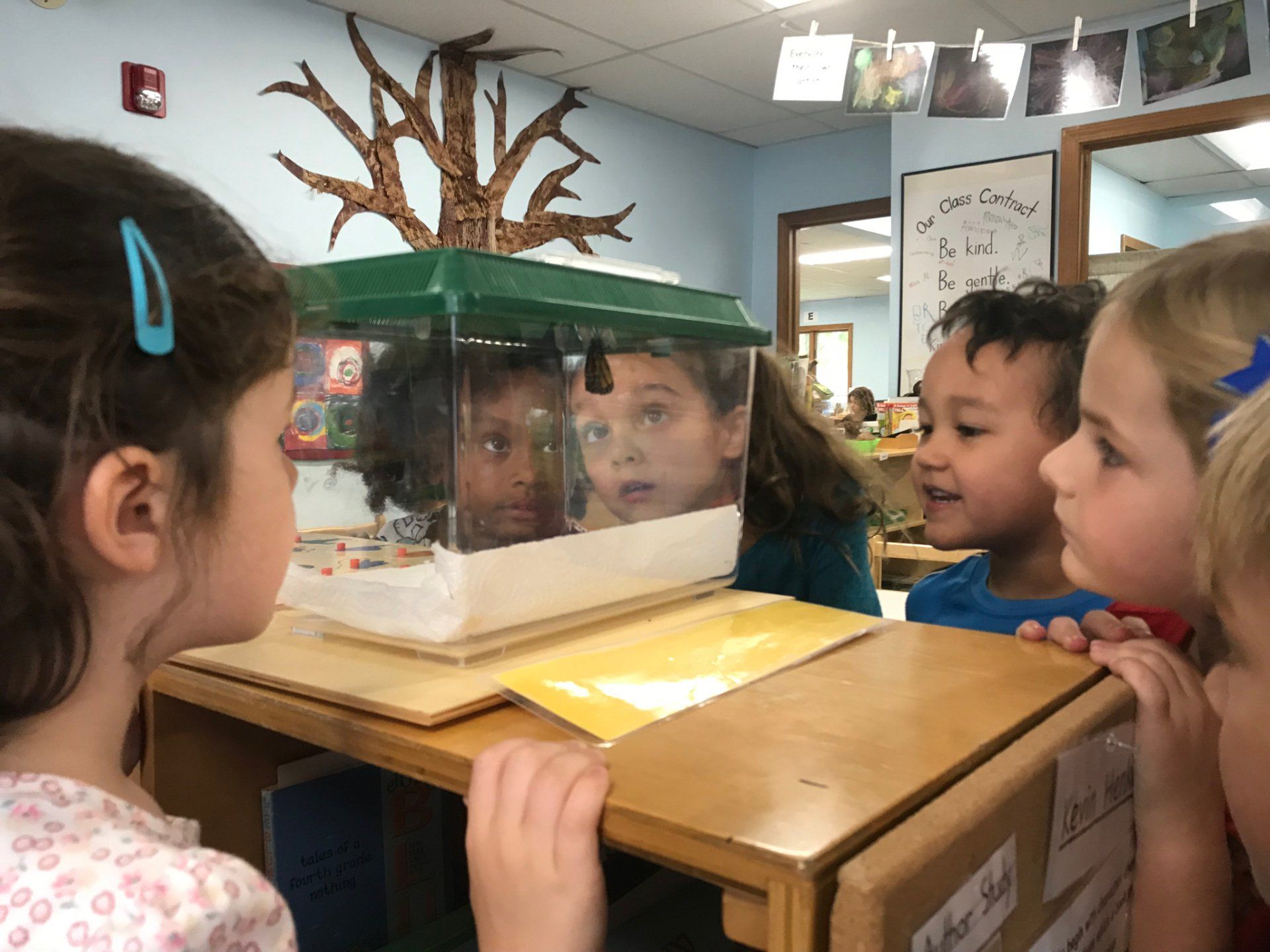 A group of children are looking at a caterpillar in a glass box.