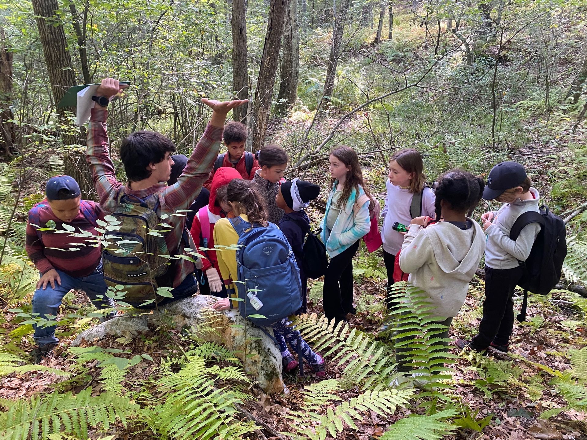 A group of Montessori children are standing in the woods.