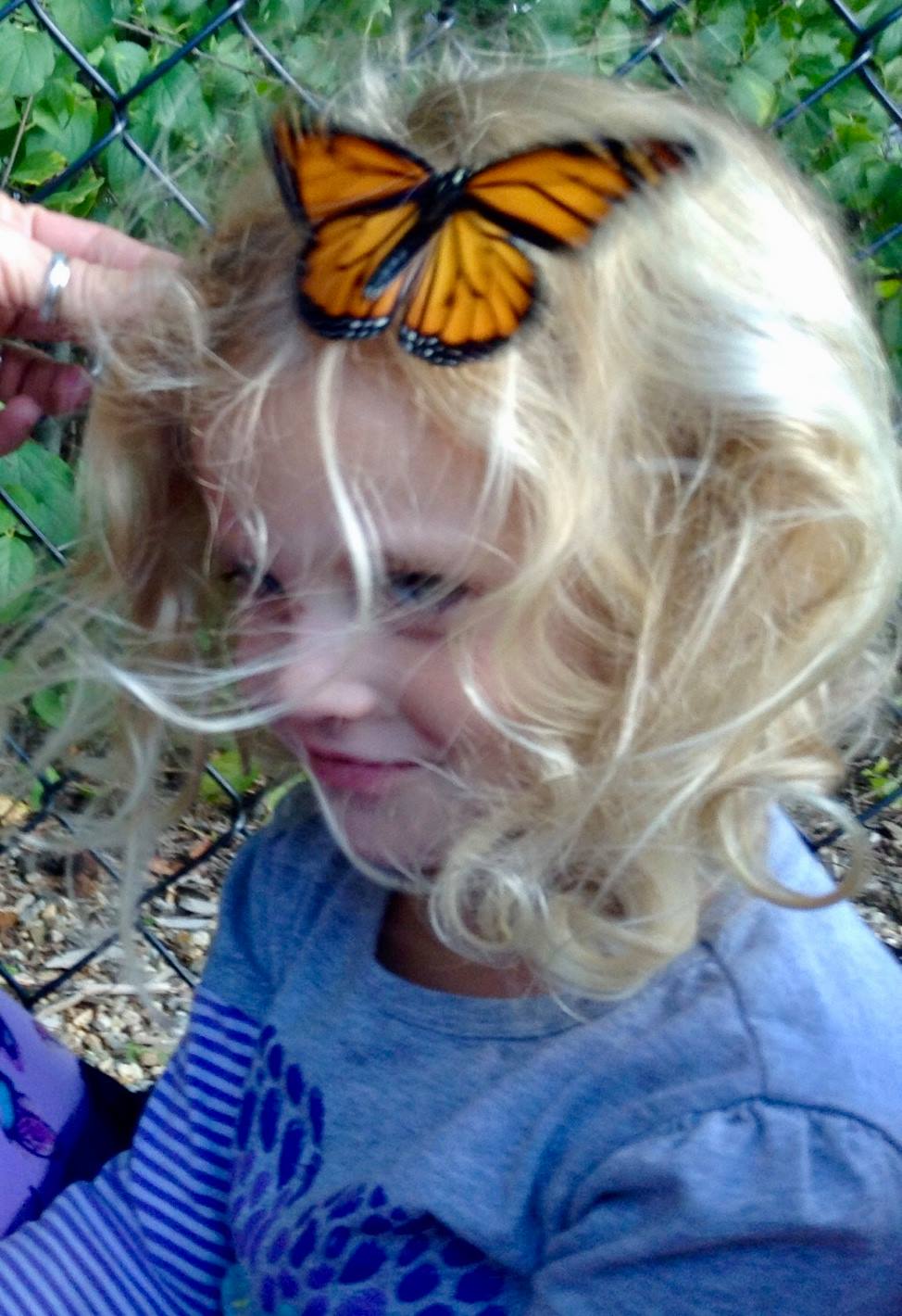 A little girl with a butterfly in her hair