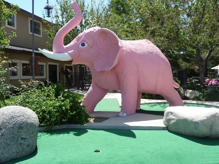 Golf Near Me — Golf Course Pink Elephant in Reno, NV