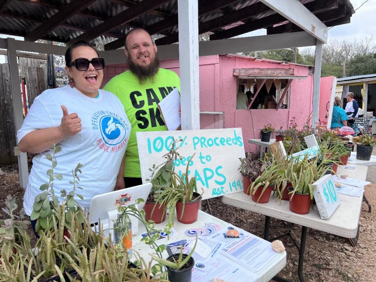 A man and a woman are standing in front of a table with potted plants.