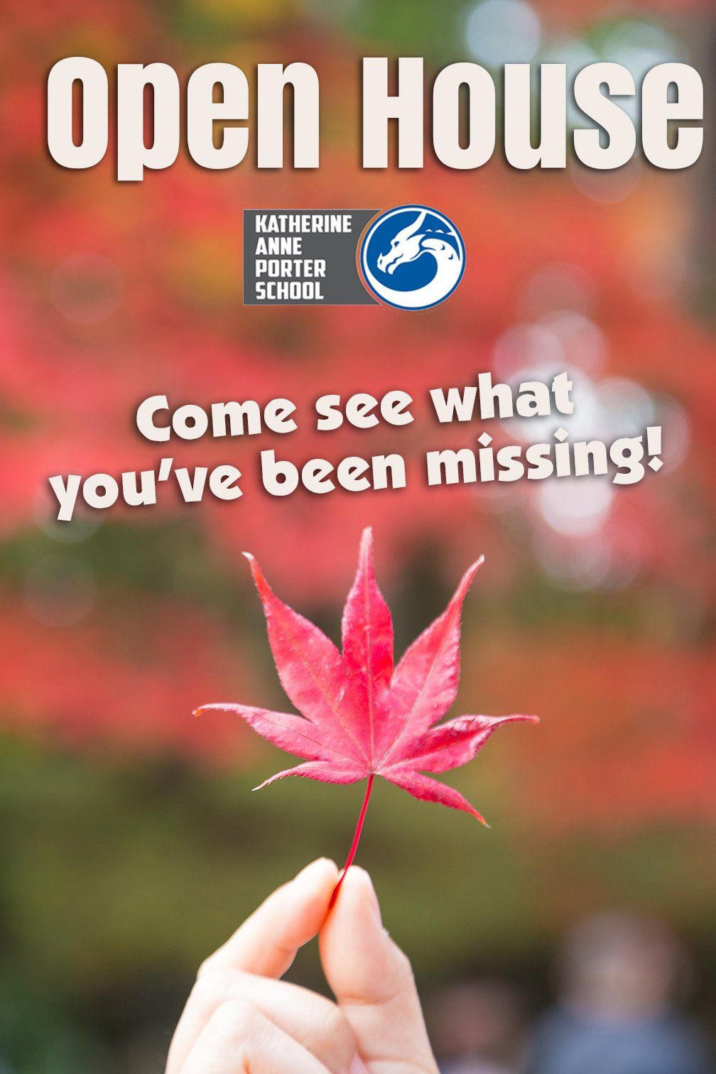 A person is holding a red maple leaf in their hand.