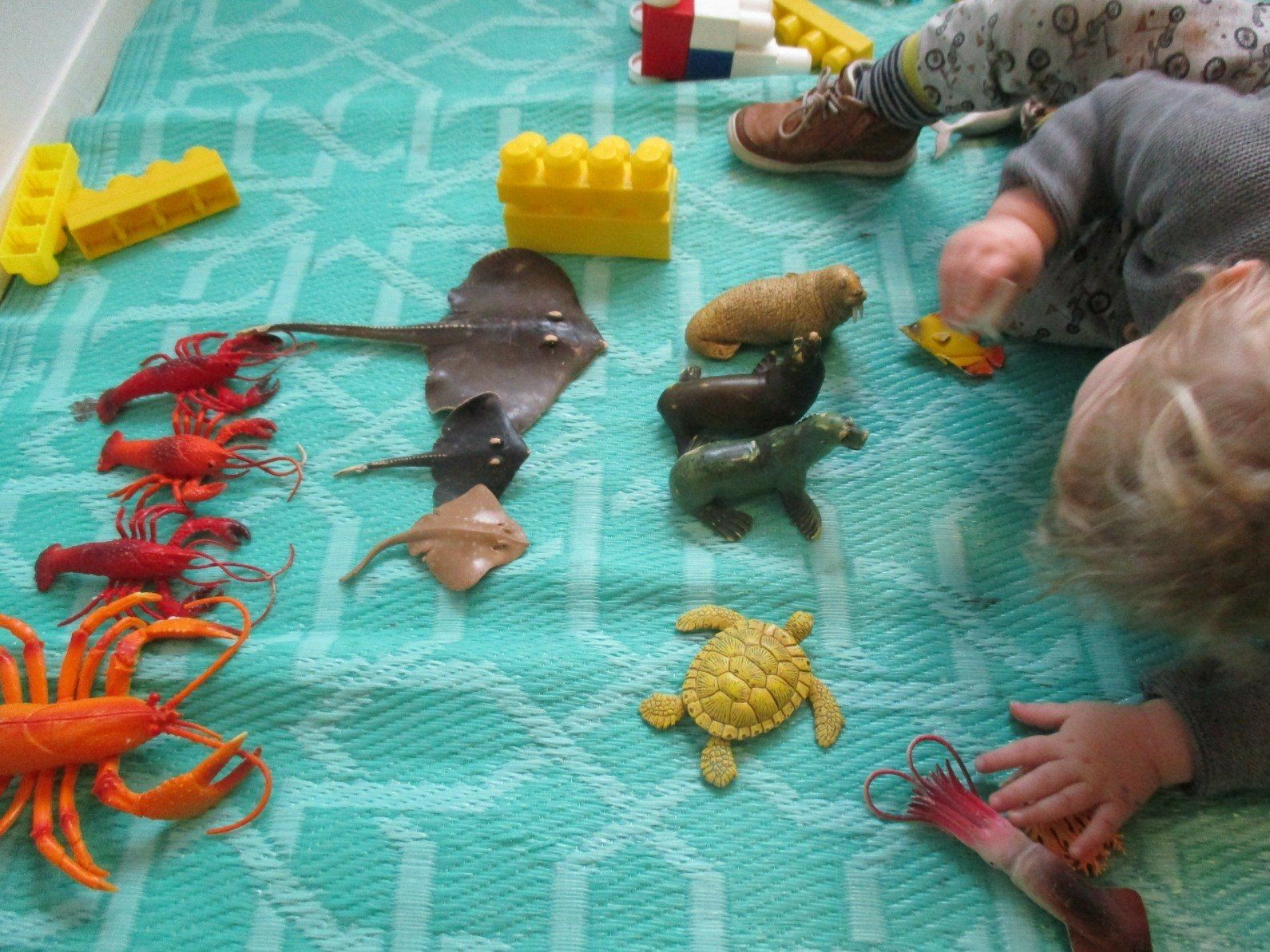A child is playing with toys on a blue rug.