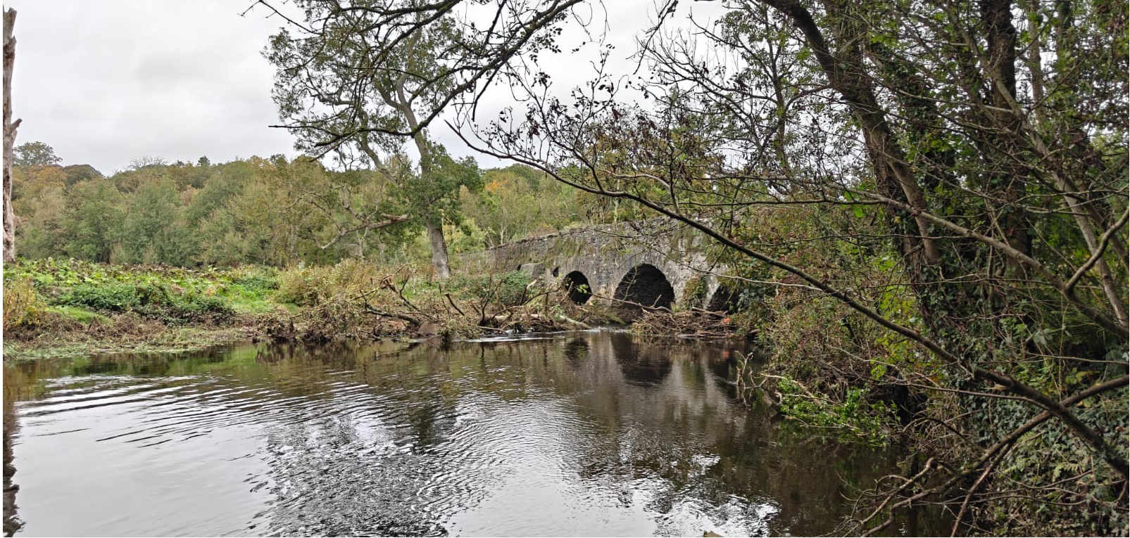 Tree Blockage in Drumbeg on the River Lagan
