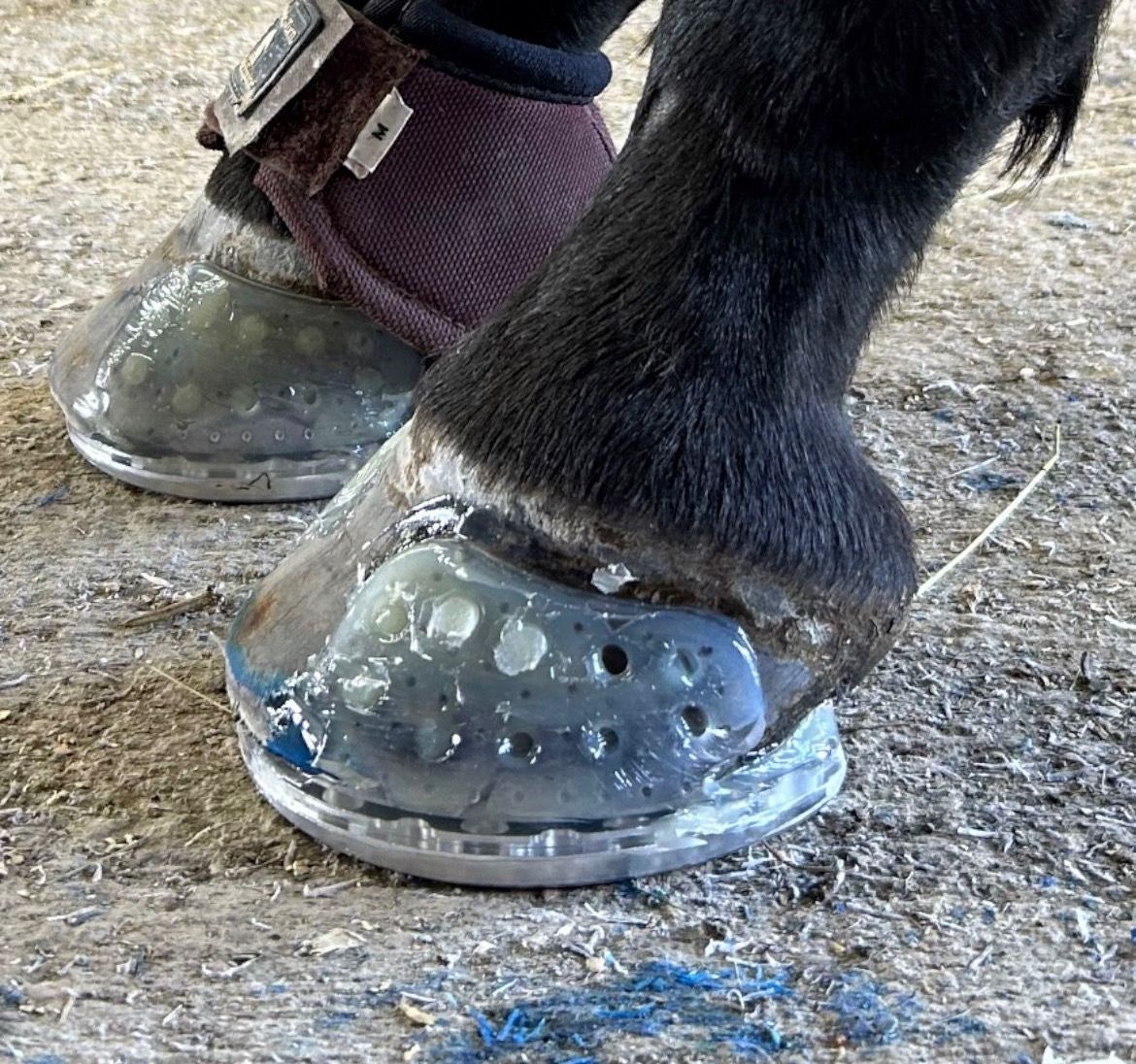 A close up of a horse 's hoof with a clear protector on it.