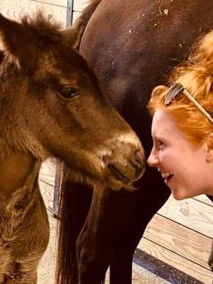 A woman is looking at a baby horse in a stable.