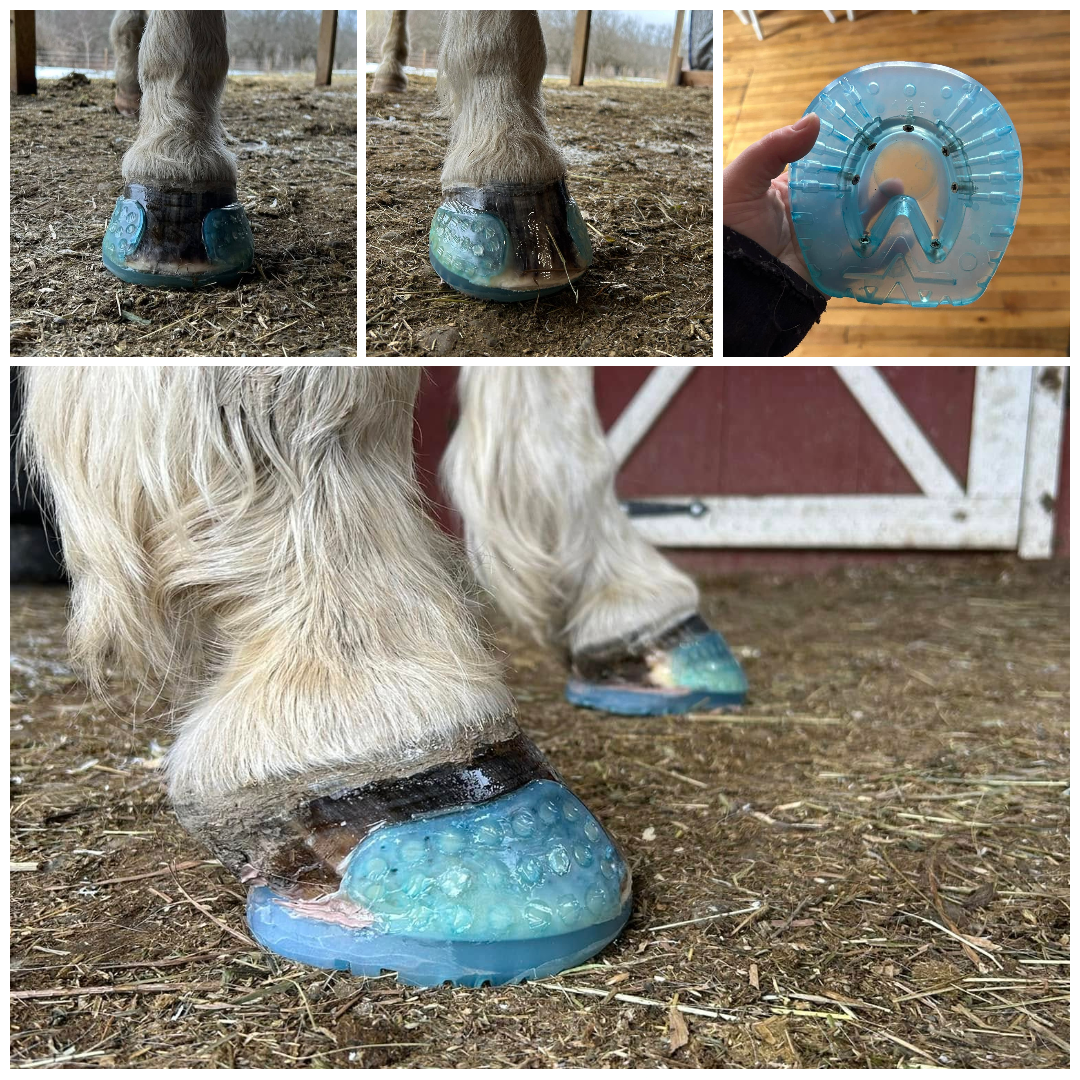 A horse 's hooves are covered in blue plastic