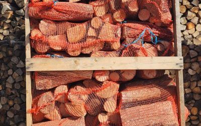 Tronchi di legna da ardere confezionati in sacchi di rete arancioni, ordinatamente impilati all'interno di una cassa di legno.